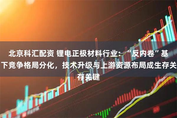 北京科汇配资 锂电正极材料行业：“反内卷”基调下竞争格局分化，技术升级与上游资源布局成生存关键