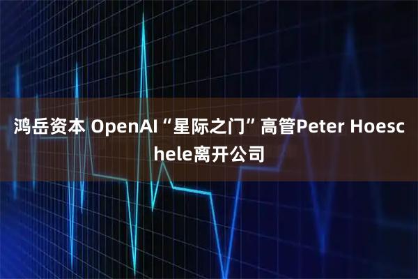 鸿岳资本 OpenAI“星际之门”高管Peter Hoeschele离开公司